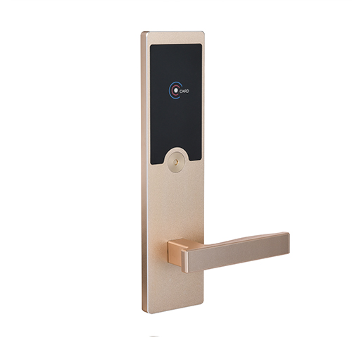 H0165-A5RFTJ磨砂土豪(háo)金 薄款1.jpg