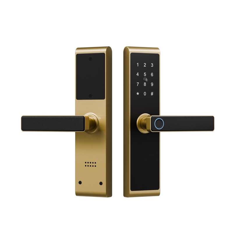 香檳金 拷貝.jpg 香檳金 拷貝.jpg