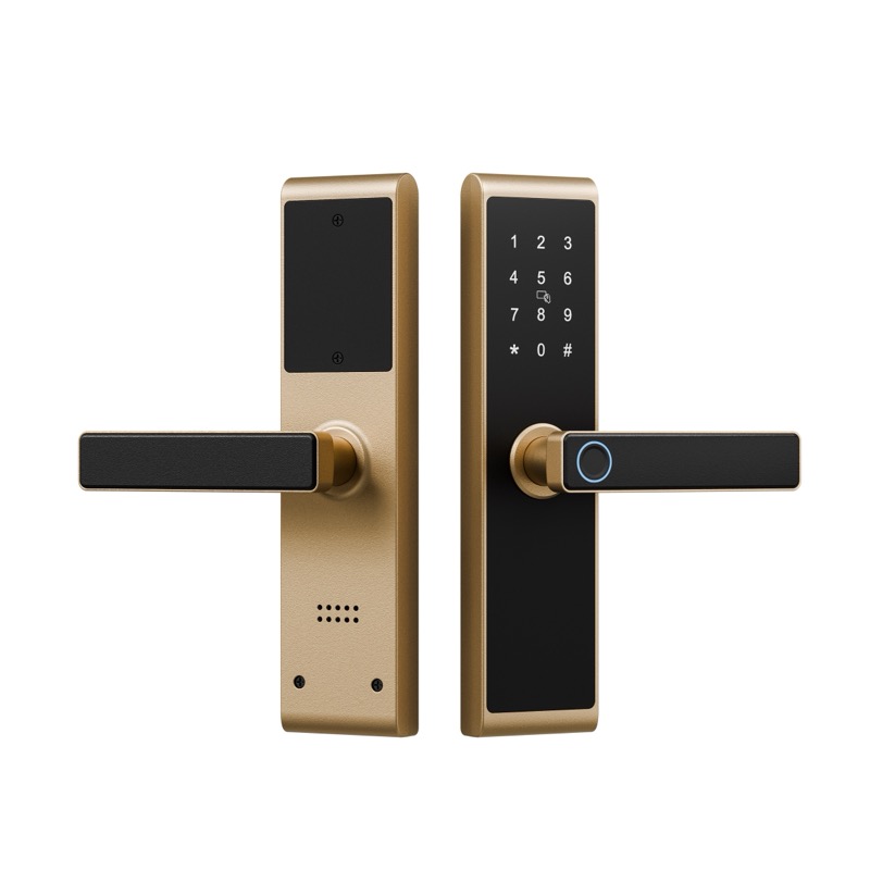 砂金 拷（kǎo）貝.jpg