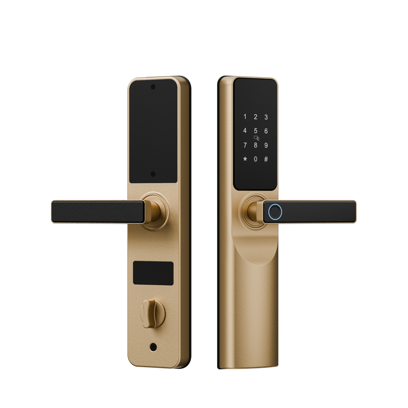 砂金 拷貝.png 砂金 拷貝.png