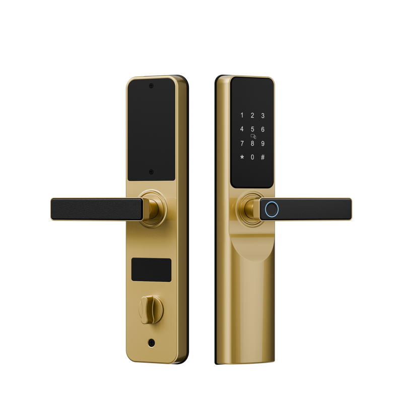 香檳金 拷貝.png 香檳金 拷貝.png